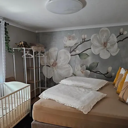 Appartement Ache *